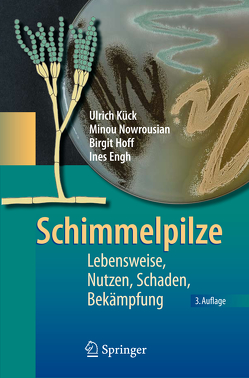 Schimmelpilze von Engh,  Ines, Hoff,  Birgit, Kück,  Ulrich, Nowrousian,  Minou, Reiß,  Jürgen