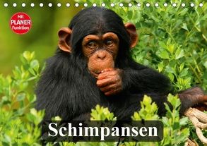 Schimpansen (Tischkalender 2018 DIN A5 quer) von Stanzer,  Elisabeth