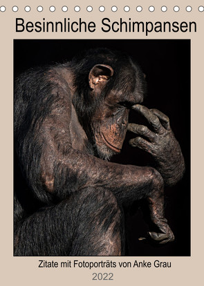 Schimpansen (Tischkalender 2022 DIN A5 hoch) von Grau,  Anke