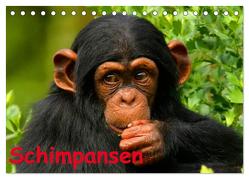 Schimpansen (Tischkalender 2024 DIN A5 quer), CALVENDO Monatskalender von Stanzer,  Elisabeth