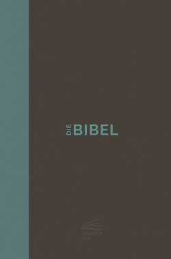 Schlachter 2000 Bibel – Taschenausgabe (Hardcover, klassischer Einband) von Binder,  Lucian, Schlachter,  Franz Eugen