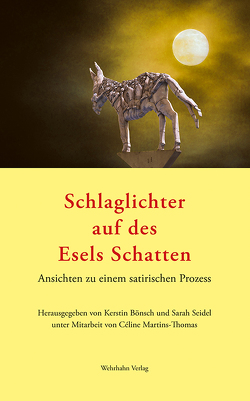 Schlaglichter auf des Esels Schatten von Bönsch,  Kerstin, Martins-Thomas,  Céline, Seidel,  Sarah