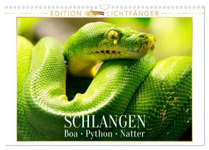 Schlangen: Boa, Python, Natter – Edition Lichtfänger (Wandkalender 2024 DIN A3 quer), CALVENDO Monatskalender von CALVENDO,  CALVENDO