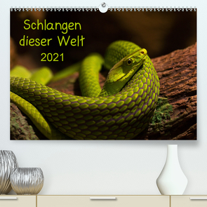 Schlangen dieser WeltAT-Version (Premium, hochwertiger DIN A2 Wandkalender 2021, Kunstdruck in Hochglanz) von GuidoTipka/GUTI-Fotos