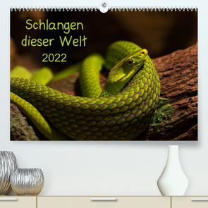 Schlangen dieser WeltAT-Version (Premium, hochwertiger DIN A2 Wandkalender 2022, Kunstdruck in Hochglanz) von GuidoTipka/GUTI-Fotos
