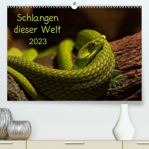 Schlangen dieser WeltAT-Version (Premium, hochwertiger DIN A2 Wandkalender 2023, Kunstdruck in Hochglanz) von GuidoTipka/GUTI-Fotos
