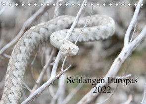 Schlangen Europas (Tischkalender 2022 DIN A5 quer) von Wilms,  Michael