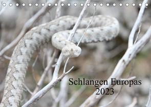 Schlangen Europas (Tischkalender 2023 DIN A5 quer) von Wilms,  Michael