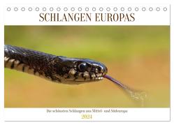 Schlangen Europas (Tischkalender 2024 DIN A5 quer), CALVENDO Monatskalender von Simlinger,  Wolfgang