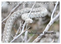 Schlangen Europas (Tischkalender 2024 DIN A5 quer), CALVENDO Monatskalender von Wilms,  Michael