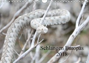 Schlangen Europas (Wandkalender 2018 DIN A4 quer) von Wilms,  Michael
