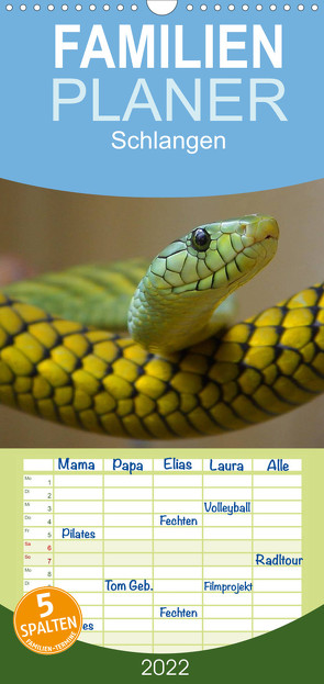 Familienplaner Schlangen (Wandkalender 2022 , 21 cm x 45 cm, hoch) von Stanzer,  Elisabeth
