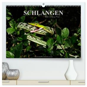 Schlangen (hochwertiger Premium Wandkalender 2024 DIN A2 quer), Kunstdruck in Hochglanz von Trapp,  Benny