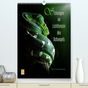 Schlangen im Lichtfenster des Dschungels (Premium, hochwertiger DIN A2 Wandkalender 2021, Kunstdruck in Hochglanz) von Schmidbauer,  Heinz