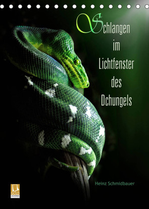 Schlangen im Lichtfenster des Dschungels (Tischkalender 2023 DIN A5 hoch) von Schmidbauer,  Heinz