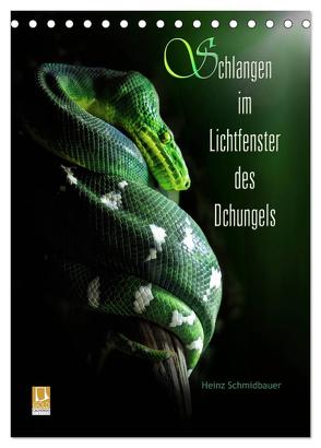 Schlangen im Lichtfenster des Dschungels (Tischkalender 2024 DIN A5 hoch), CALVENDO Monatskalender von Schmidbauer,  Heinz