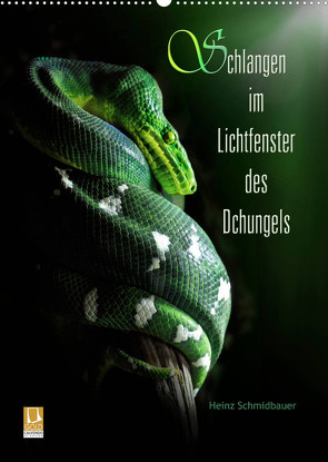 Schlangen im Lichtfenster des Dschungels (Wandkalender 2023 DIN A2 hoch) von Schmidbauer,  Heinz