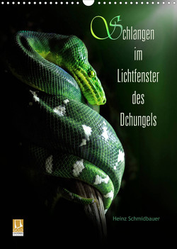 Schlangen im Lichtfenster des Dschungels (Wandkalender 2023 DIN A3 hoch) von Schmidbauer,  Heinz