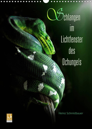 Schlangen im Lichtfenster des Dschungels (Wandkalender 2023 DIN A3 hoch) von Schmidbauer,  Heinz