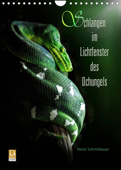 Schlangen im Lichtfenster des Dschungels (Wandkalender 2023 DIN A4 hoch) von Schmidbauer,  Heinz