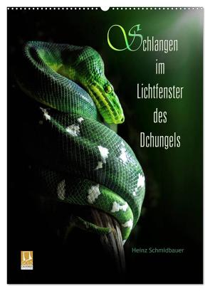 Schlangen im Lichtfenster des Dschungels (Wandkalender 2024 DIN A2 hoch), CALVENDO Monatskalender von Schmidbauer,  Heinz