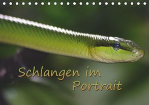 Schlangen im Portrait (Tischkalender 2019 DIN A5 quer) von Chawera