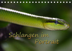 Schlangen im Portrait (Tischkalender 2023 DIN A5 quer) von Chawera