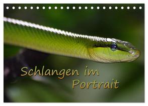 Schlangen im Portrait (Tischkalender 2024 DIN A5 quer), CALVENDO Monatskalender von Chawera,  Chawera