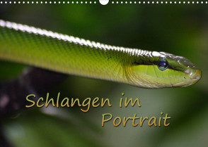Schlangen im Portrait (Wandkalender 2023 DIN A3 quer) von Chawera