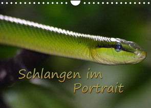 Schlangen im Portrait (Wandkalender 2023 DIN A4 quer) von Chawera