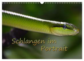 Schlangen im Portrait (Wandkalender 2024 DIN A3 quer), CALVENDO Monatskalender von Chawera,  Chawera