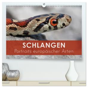 Schlangen – Portraits europäischer Arten (hochwertiger Premium Wandkalender 2024 DIN A2 quer), Kunstdruck in Hochglanz von Eßer,  Kevin