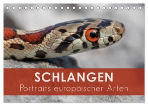Schlangen – Portraits europäischer Arten (Tischkalender 2024 DIN A5 quer), CALVENDO Monatskalender von Eßer,  Kevin