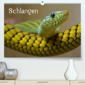 Schlangen (Premium, hochwertiger DIN A2 Wandkalender 2021, Kunstdruck in Hochglanz) von Stanzer,  Elisabeth