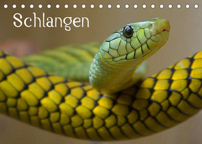 Schlangen (Tischkalender 2022 DIN A5 quer) von Stanzer,  Elisabeth