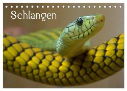 Schlangen (Tischkalender 2024 DIN A5 quer), CALVENDO Monatskalender von Stanzer,  Elisabeth