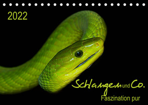 Schlangen und Co. – Faszination pur (Tischkalender 2022 DIN A5 quer) von Enkemeier,  Sigrid
