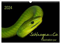 Schlangen und Co. – Faszination pur (Wandkalender 2024 DIN A3 quer), CALVENDO Monatskalender von Enkemeier,  Sigrid