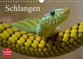 Schlangen (Wandkalender 2018 DIN A4 quer) von Stanzer,  Elisabeth
