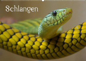 Schlangen (Wandkalender 2022 DIN A2 quer) von Stanzer,  Elisabeth