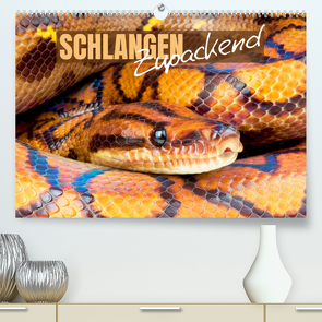 Schlangen: Zupackend (Premium, hochwertiger DIN A2 Wandkalender 2022, Kunstdruck in Hochglanz) von CALVENDO