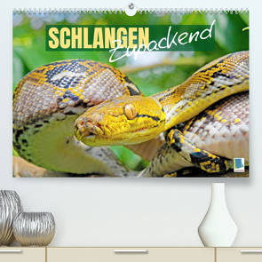 Schlangen: Zupackend (Premium, hochwertiger DIN A2 Wandkalender 2023, Kunstdruck in Hochglanz) von CALVENDO