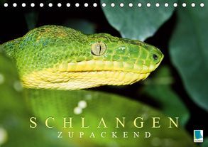 Schlangen: Zupackend (Tischkalender 2019 DIN A5 quer) von CALVENDO