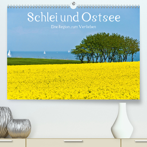 Schlei und Ostsee – Eine Region zum Verlieben (Premium, hochwertiger DIN A2 Wandkalender 2021, Kunstdruck in Hochglanz) von Hornecker,  Frank