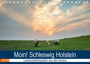 Schleswig Holstein – Landschaftsbilder (Tischkalender 2019 DIN A5 quer) von Jorzik-Brzelinski,  Yannick