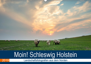 Schleswig Holstein – Landschaftsbilder (Wandkalender 2019 DIN A2 quer) von Jorzik-Brzelinski,  Yannick