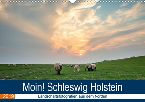 Schleswig Holstein – Landschaftsbilder (Wandkalender 2019 DIN A3 quer) von Jorzik-Brzelinski,  Yannick