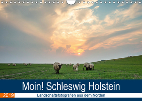 Schleswig Holstein – Landschaftsbilder (Wandkalender 2019 DIN A4 quer) von Jorzik-Brzelinski,  Yannick