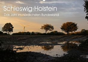 Schleswig-Holstein (Wandkalender 2019 DIN A2 quer) von Thomsen,  Ralf