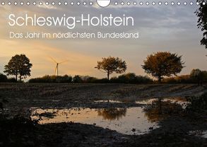 Schleswig-Holstein (Wandkalender 2019 DIN A4 quer) von Thomsen,  Ralf